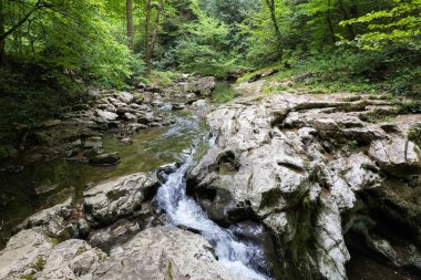 Dağ nehir şelale yeşil orman