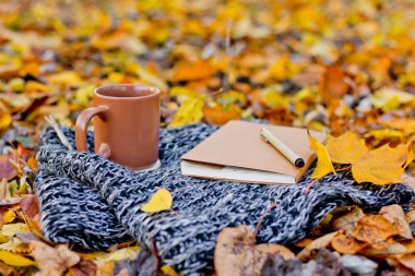 Parktaki yaprakların üzerine çizim defteriyle birlikte Buterrum renk bardağı. Rahat sabah sayfaları, yaratıcı randevu konsepti.