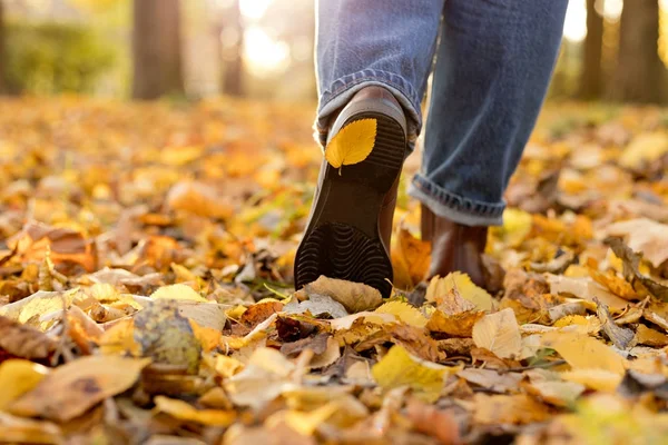 Sonbahar yaprakları içinde kadın botları. Adım adım kavramı