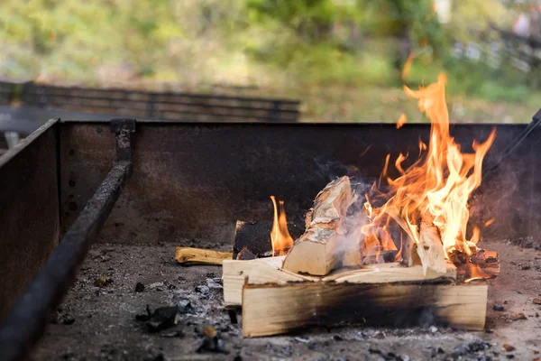 Kırsal kesimde şömine, sonbahar haftasonu