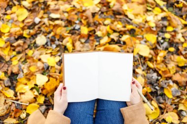 Sonbahar parkında el yazısı, boş bir uzay notu. Liste yapmak, hedefler, ilham konsepti. Yaratıcı tarih