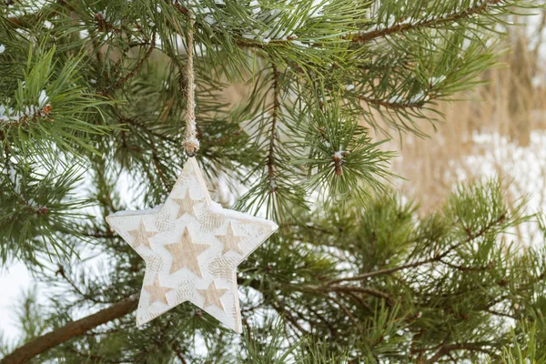 Christmas decor wooden stars on the green fir branch in snowflakes