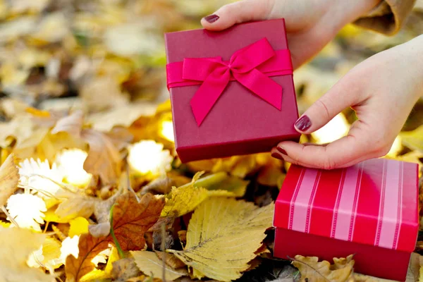 Flatlay Feriados Giftbox Presente Mãos Mulher Sobre Fundo Luzes Borradas — Fotografia de Stock