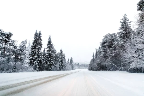 Talvi Metsä Road Trip — kuvapankkivalokuva