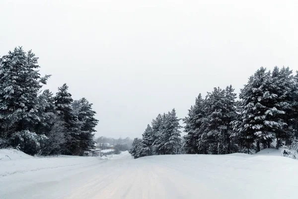 Europe Road Trip Snowy Winter Weather — Stock Photo, Image