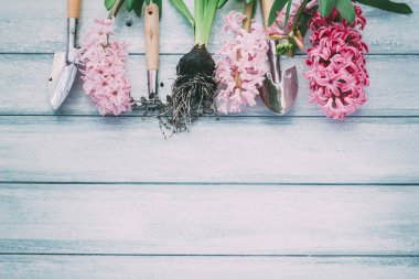 Ahşap arka plan üzerinde çiçekler sümbül