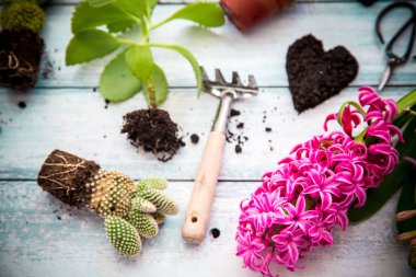 Düz yatıyordu sahne Bahçe