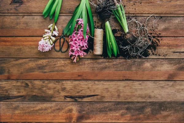 Ahşap arka plan üzerine sümbül çiçek