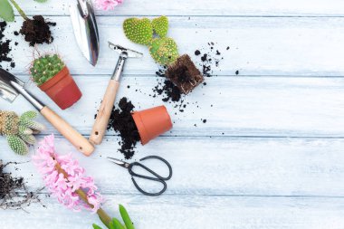 Bahar çiçekleri ile Bahçe aletleri, tencere ve gri ahşap masa üzerinde toprak Çömlekçilik