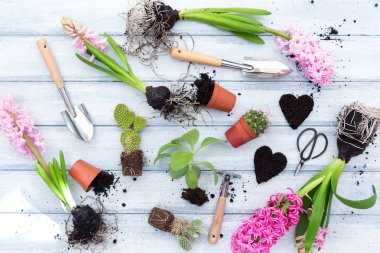 Bahçe aletleri ve çiçekler.