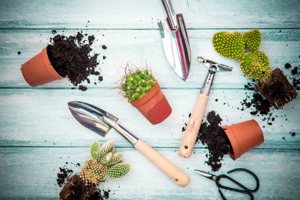 Çömlekçilik, kompozisyon Bahçe sümbül