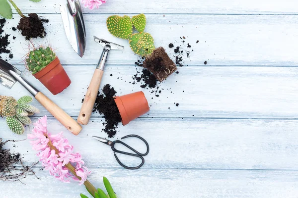 Bahar çiçekleri ile Bahçe aletleri, tencere ve gri ahşap masa üzerinde toprak Çömlekçilik