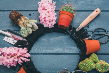 Çalışma alanı, dikim bahar çiçekleri. Bahçe aletleri, sümbül ve düz ahşap arka plan üzerinde tencere bitkiler. Bahçe Dekorasyon