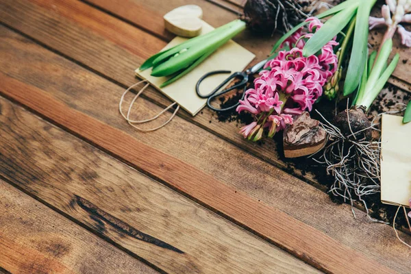 Ahşap arka plan üzerinde çiçekler sümbül