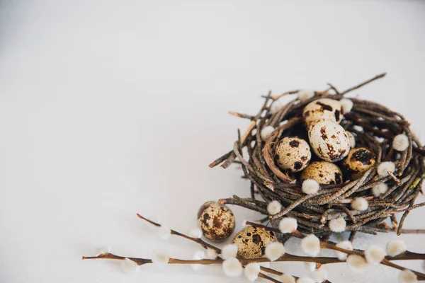 Fondo de ésteres rústicos con huevos pequeños — Foto de Stock