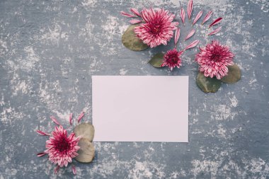 Beyaz çiçeklerle boş. Düz yatıyordu 