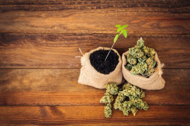 Ot, Tıbbi Marihuana Grunge Detayları ve Arkaplan