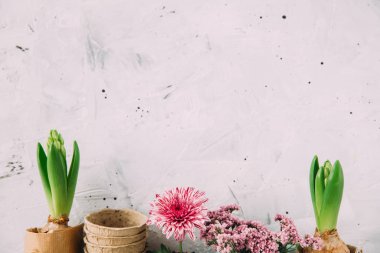 Çiçek ve nokta ile Bahçe arka plan