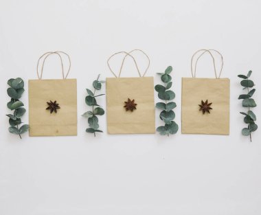 Doğal renk Bloglar ve siteler için zarif düz yatıyordu. Kraft torba ve okaliptüs. Kopya alanı 