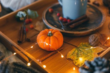 Sonbahar kompozisyon arka plan balkabağı ile