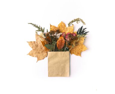 Sonbahar kompozisyon. sonbahar Akça ağaç yaprakları ve beyaz arka plan üzerinde konisi. Üstten Görünüm. Uzay kopyalayın. Düz yatıyordu 