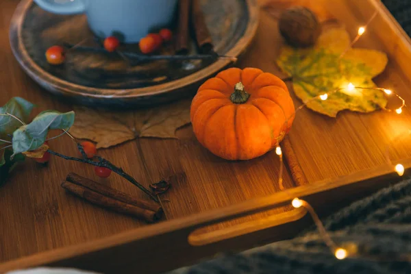 Still life with pumpkin. Autumn background — Stock Photo, Image