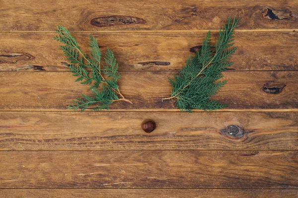 Rendieren gezicht gemaakt van groene takken over houten achtergrond. Minimale kerst concept — Stockfoto