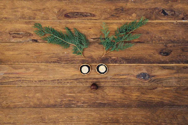 Оленяче обличчя з зелених гілок на дерев'яному фоні. Концепція мінімального Різдва — стокове фото