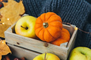 Sonbahar kompozisyon. elma ve kabak 