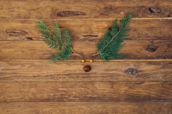 Rendieren Gezicht Gemaakt Van Groene Takken Houten Achtergrond Minimale Kerst — Stockfoto