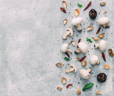 Mantar champignon. Düz yatıyordu kompozisyon