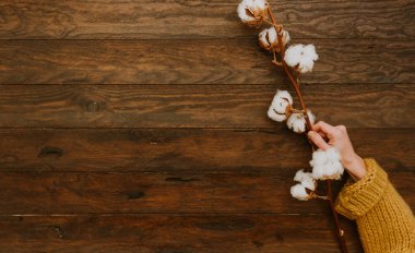 Pamuk çiçek tutan eller