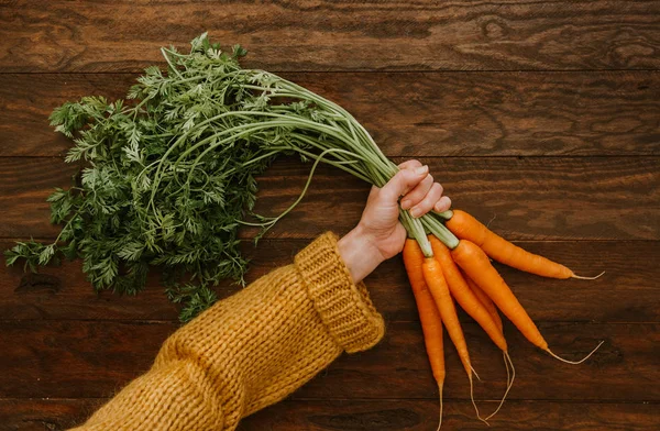 Руки Женщины Держат Пучки Сырой Моркови — стоковое фото