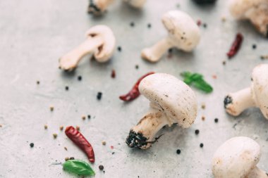 Baharat ile mantar champignon 