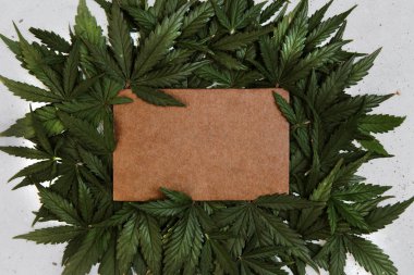 Green cannabis leafs frame with usable copy space in the middle. Top view, copy space clipart