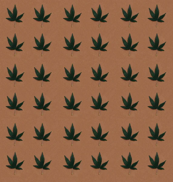 Schema Una Foglia Cannabis Ganja Marijuana Weed Modello Senza Soluzione — Foto Stock