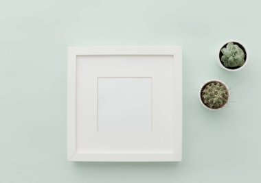 Mockup beyaz çerçeve. Tarafsız Minimalist düz kaktüs ile sahne yatıyordu 
