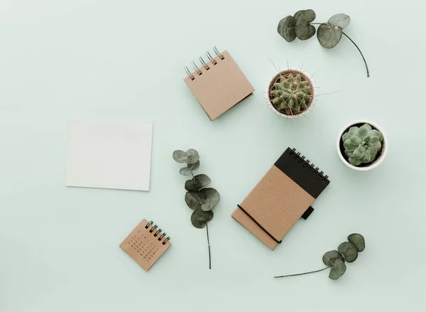 Soft Neutral Styled Desk Scenes With Cactus, craft eco notebooks and green leaves