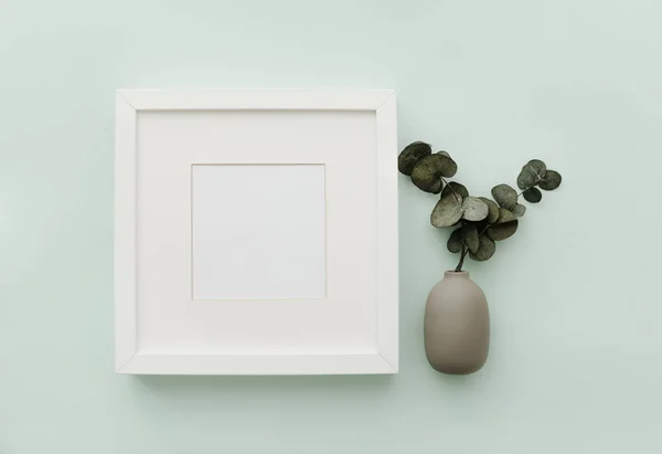 Moldura Maquilhagem Cena Plana Minimalista Neutra Leigo Com Vaso Eucalipto — Fotografia de Stock