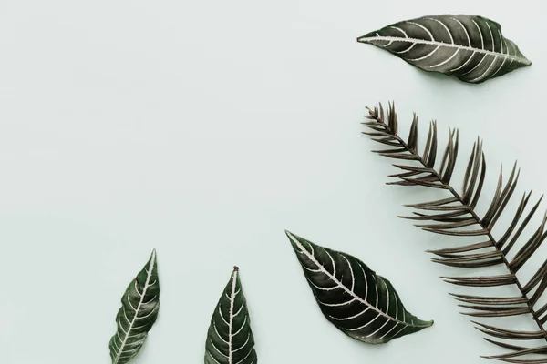 Green Leaves Neutral Minimalist Flat Lay Scene Tropical Elements — Stock Photo, Image
