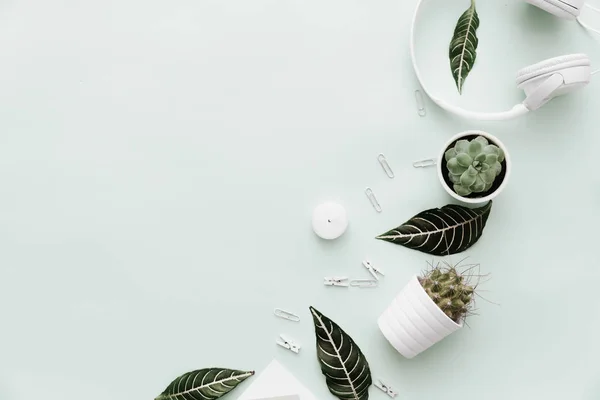 Moderno Hipster Flat Lay Con Maceta Flores Hojas Verdes Auriculares — Foto de Stock