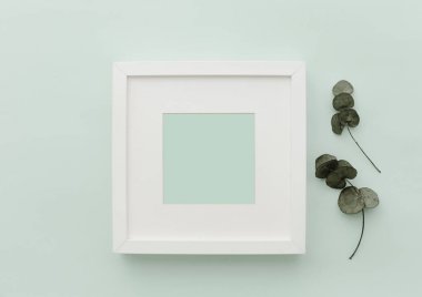 Mockup beyaz çerçeve. Tarafsız Minimalist düz sahne kaktüs ile yatıyordu. Blogger Pastel arka plan 