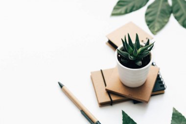 Beyaz arka plan üzerinde sulu ve zanaat not defteri. düz yatıyordu, en iyi görünüm. En az arka plan 