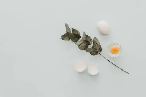 Свіжі Яйця Мінімальний Плоский Фон Пастельні Тони Листя Евкаліпта — стокове фото