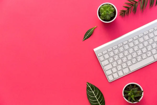 Flat lay, office desk and keyboard with green leaves and succulent over pastel background