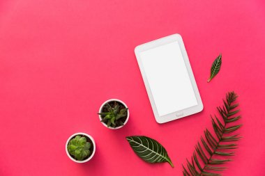 Tablet, bitkiler ve tropikal yaprak kopya alanı için pastel arka plan üzerinde en az düz yatırın. Üstten Görünüm