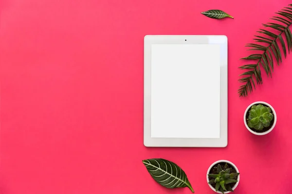 Minimal Flat Lay Tablet Plants Tropical Leaves Pastel Background Copy — Stock Photo, Image