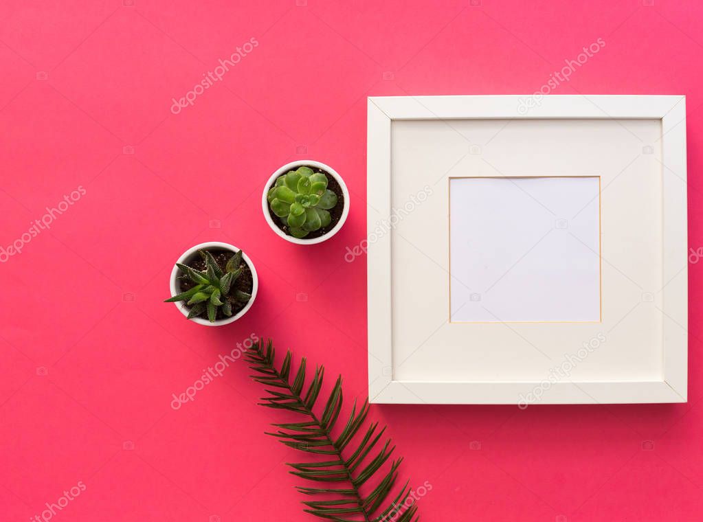 Minimal mockup frame with succulent plants on pink background. Styled still life