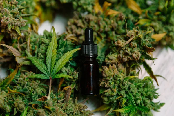 Cannabis Medicinal Con Extracto Aceite Una Botella —  Fotos de Stock
