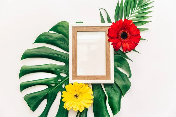 Flat lay tropical leaves with frame. Mock up background.Tropical Botanical nature concepts design.